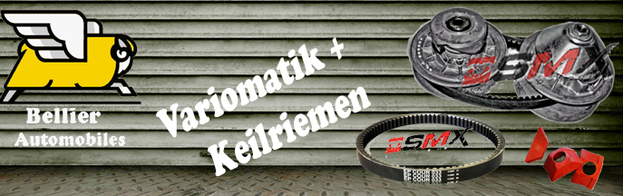 Variomatik & Keilriemen Bellier VX550 / Atoll